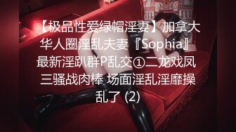 【极品性爱绿帽淫妻】加拿大华人圈淫乱夫妻『Sophia』最新淫趴群P乱交①二龙戏凤 三骚战肉棒 场面淫乱淫靡操乱了 (2)