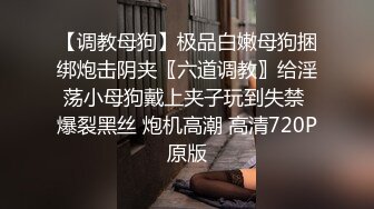 【调教母狗】极品白嫩母狗捆绑炮击阴夹〖六道调教〗给淫荡小母狗戴上夹子玩到失禁 爆裂黑丝 炮机高潮 高清720P原版