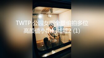 TWTP 公园女厕全景偷拍多位高颜值小姐姐嘘嘘2 (1)