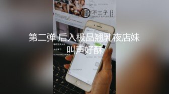 第二弹 后入极品翘乳夜店妹叫声好酥