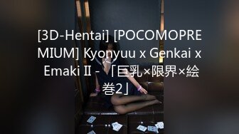 [3D-Hentai] [POCOMOPREMIUM] Kyonyuu x Genkai x Emaki II - 「巨乳×限界×絵巻2」