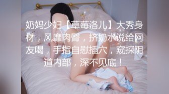 性感优雅御姐《米菲兔》美女空姐没有男人日子太难熬了